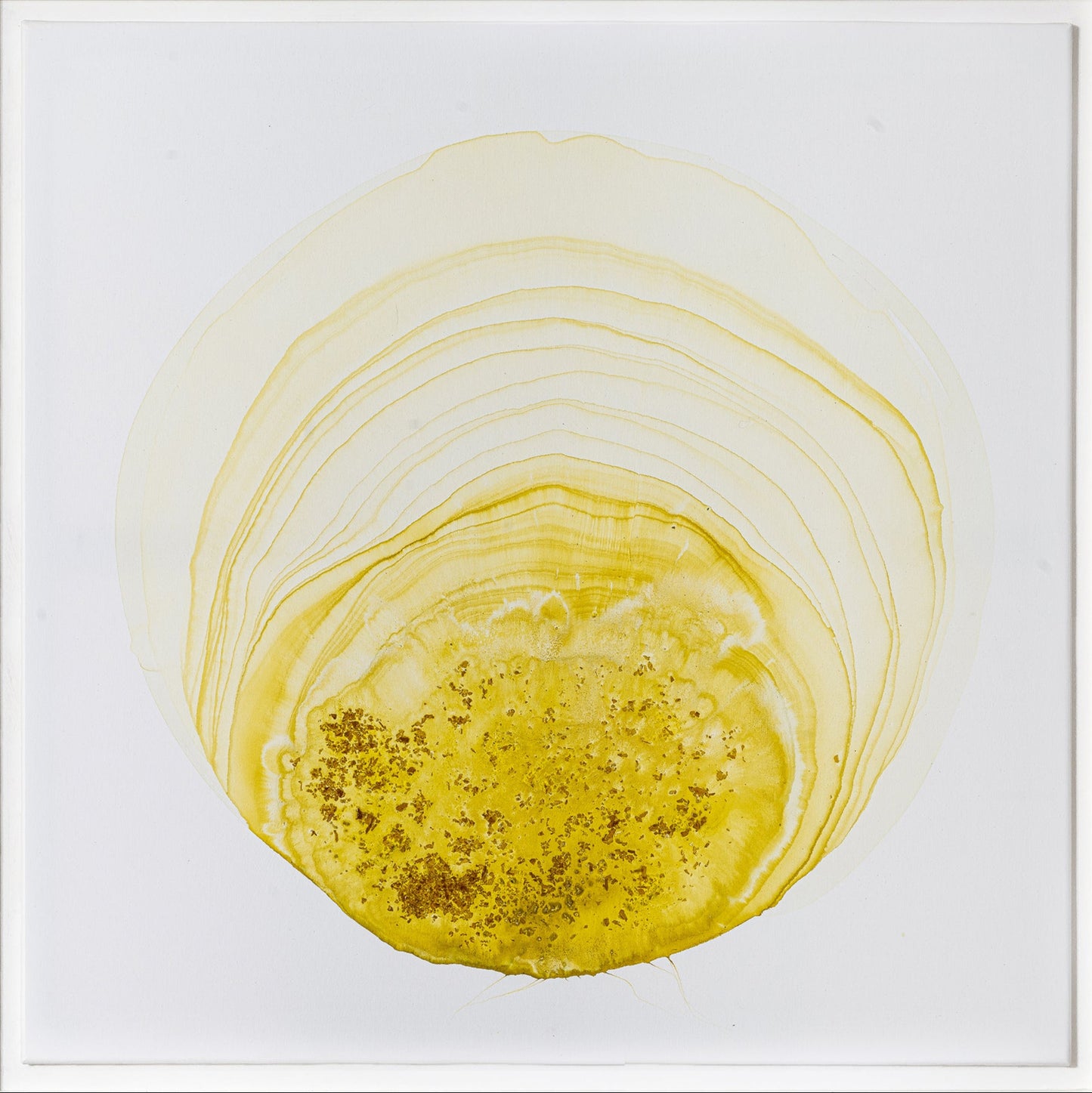 UN.limited | Rimbalzo di Luce