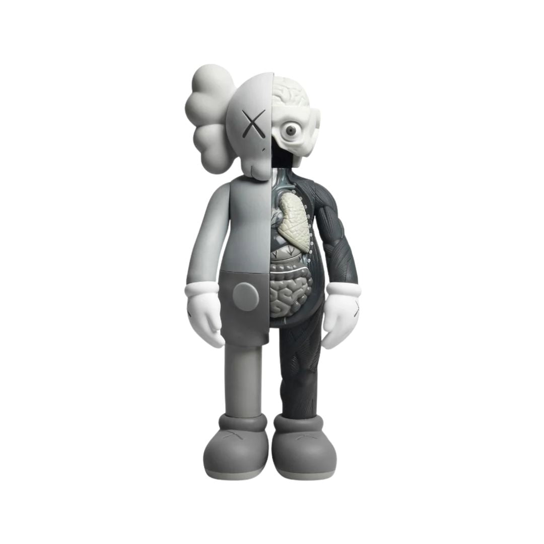 Companion Dissected 2006 - KAWS