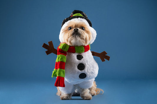 A Natale Regala Emozioni che Lasciano a Bocca Aperta