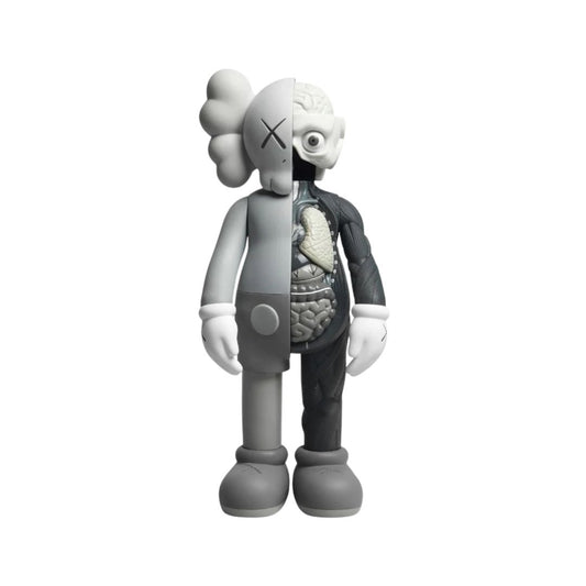 Companion Dissected 2006 - KAWS