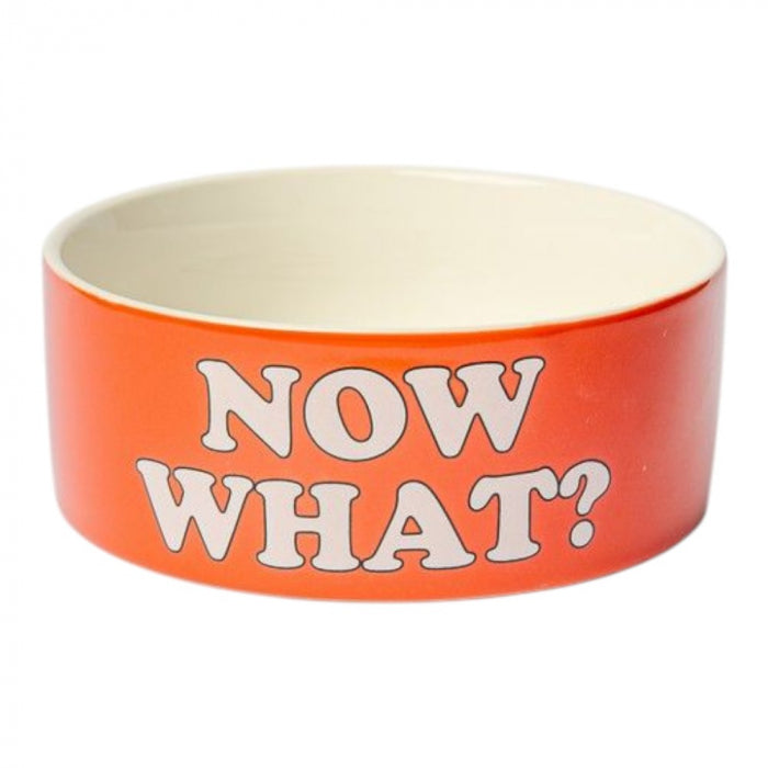 Ciotola per Cani e Gatti in Ceramica Snoopy